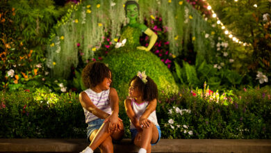 Foto de EPCOT International Flower & Garden Festival de 2025
