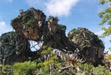 Foto de Filmes para assistir antes de ir ao Animal Kingdom