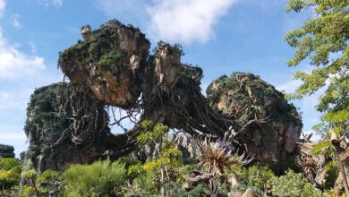 Foto de Filmes para assistir antes de ir ao Animal Kingdom
